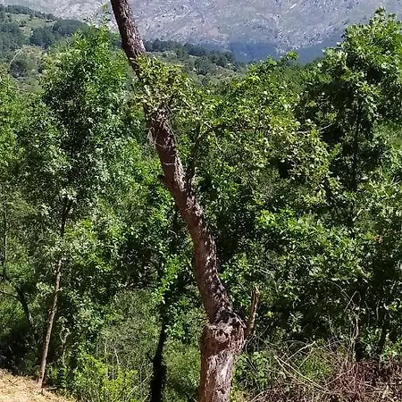 Prejones Εξοχικό σπίτι Arenas de San Pedro